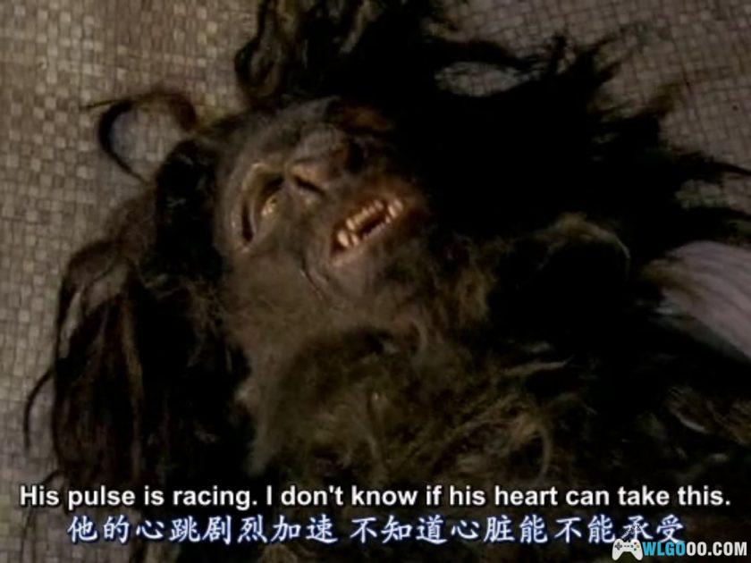 剧场 遗失的世界[60集][1999]｜全三季，史前冒险-图片16