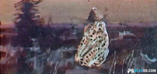 杂谈:小时在画作中看到的奇妙菌菇