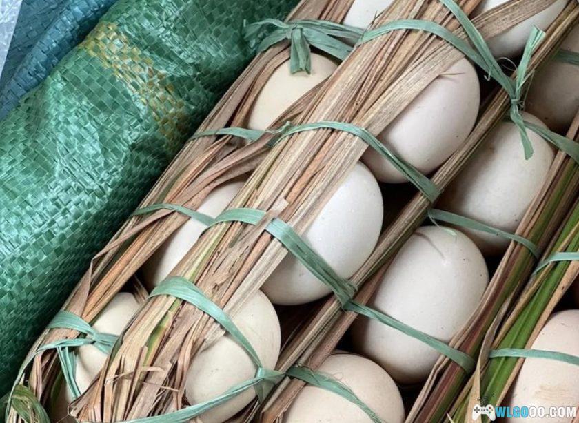 杂谈：35年前，我通过漫画《云南十八怪》了解云南-图片2