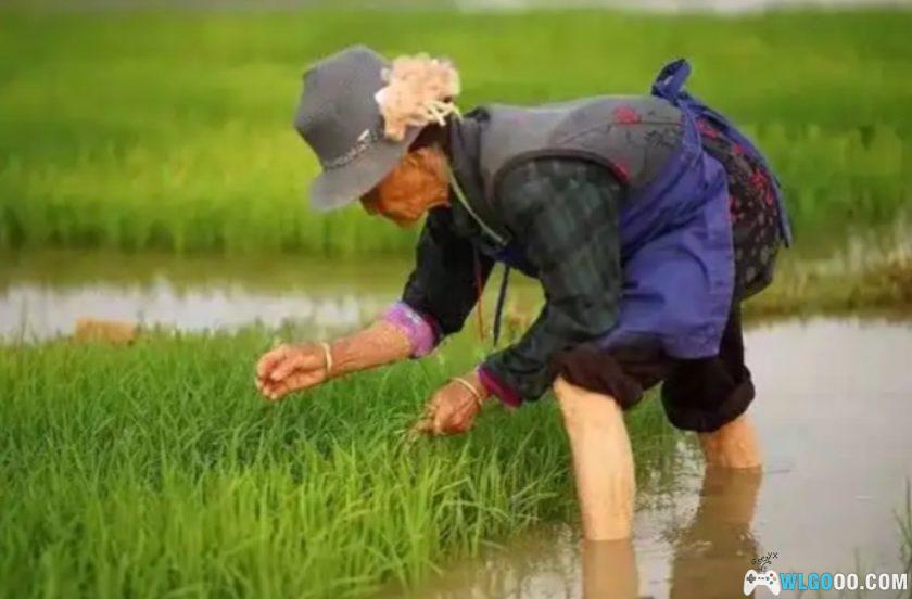 杂谈：35年前，我通过漫画《云南十八怪》了解云南-图片16