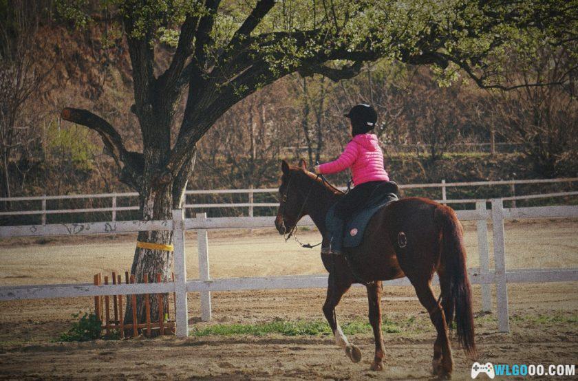 杂谈：35年前，我通过漫画《云南十八怪》了解云南-图片18