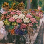 杂谈:35年前,我通过漫画《云南十八怪》了解云南