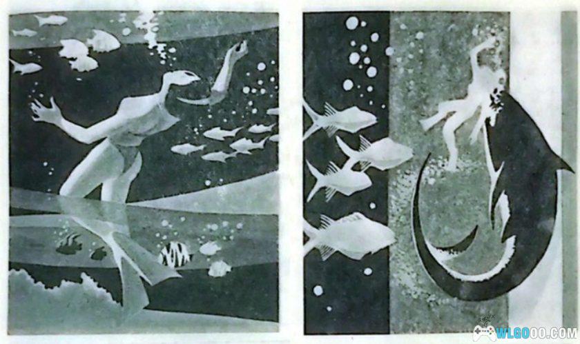 杂谈：从图画故事中了解的海女生活-图片6