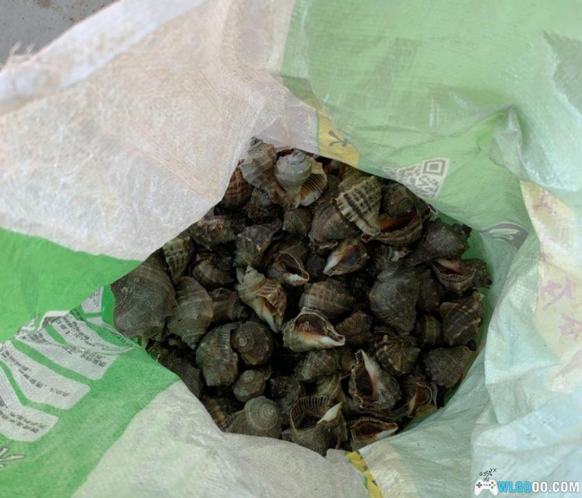 杂谈：从图画故事中了解的海女生活-图片18