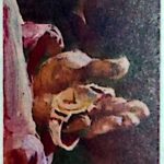 杂谈:关于手表的离奇故事《西姆海军星》