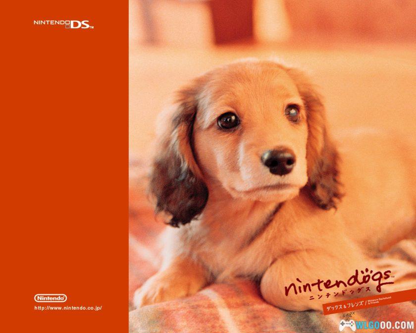 《电玩新势力》CD/DVD镜像 55期｜附杂志+游戏+周边-图片53