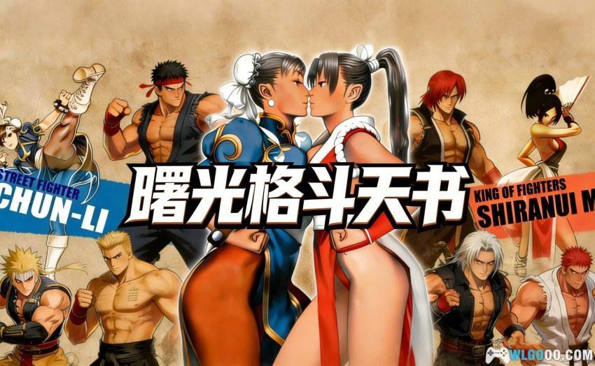 杂志 曙光格斗天书[5卷]｜2011-2021合集，格斗游戏出招攻略-图片1