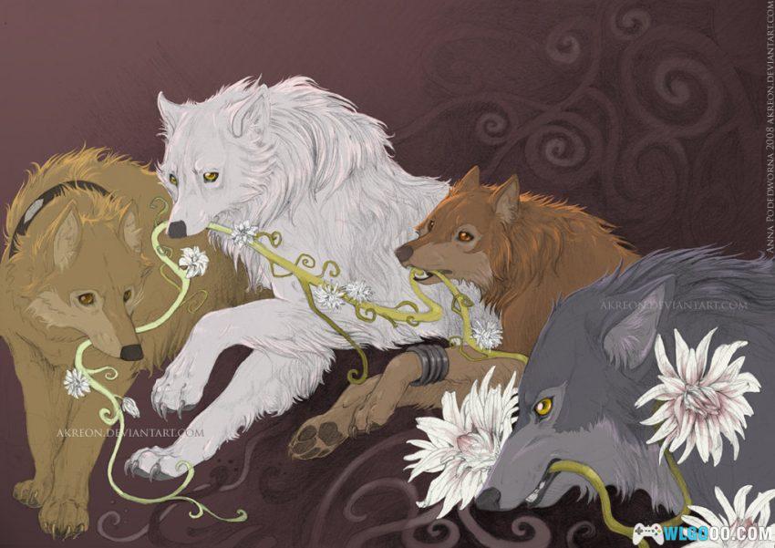 动画 狼雨(2003)[30集][中字]｜1080P，狼族少年的末世之行-图片25