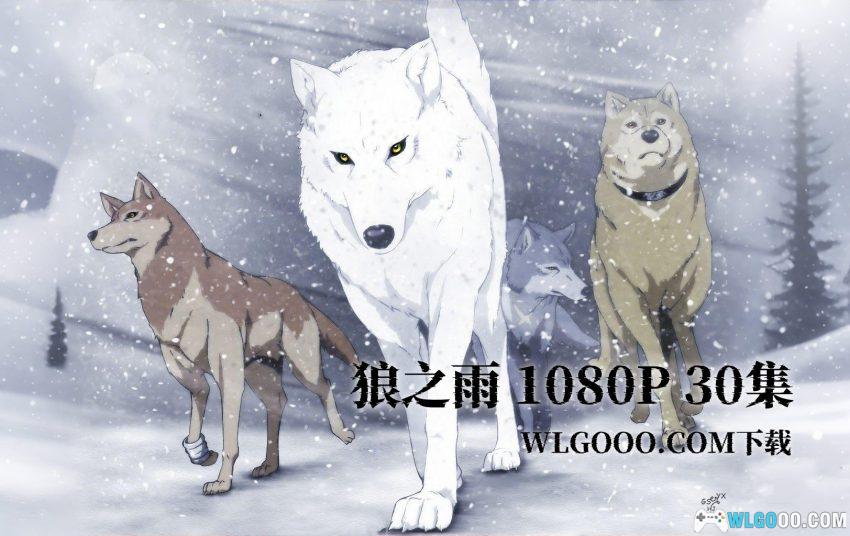 动画 狼雨(2003)[30集][中字]｜1080P，狼族少年的末世之行-图片1