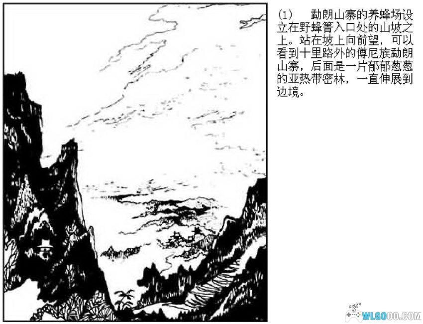 连环画 野蜂出没的山谷[1984年]-宋治平-图片2