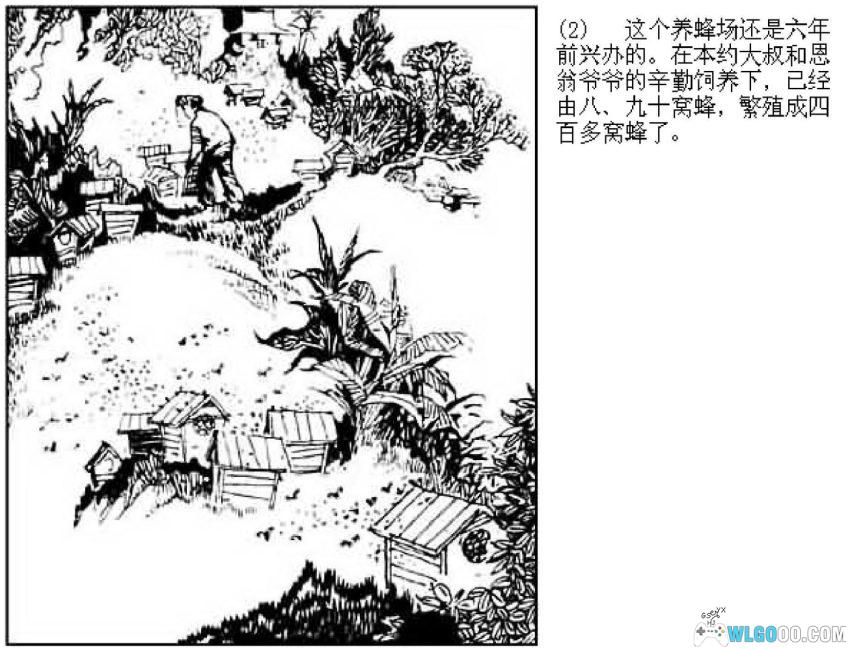 连环画 野蜂出没的山谷[1984年]-宋治平-图片3