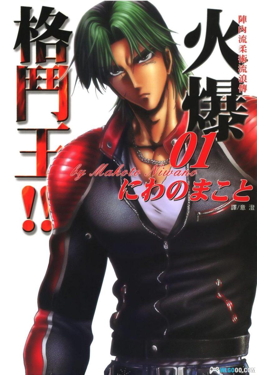 漫画 火爆格斗王[全21卷]｜庭野真琴人-图片1