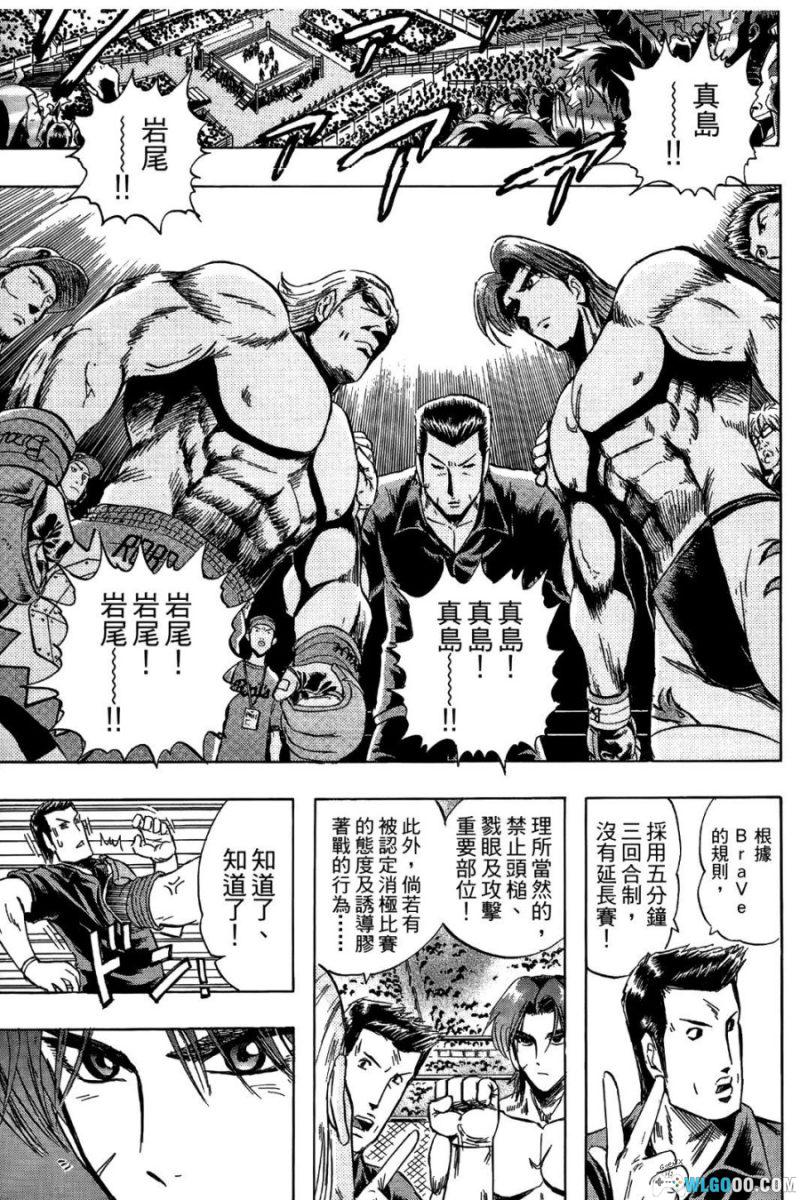 漫画 火爆格斗王[全21卷]｜庭野真琴人-图片18
