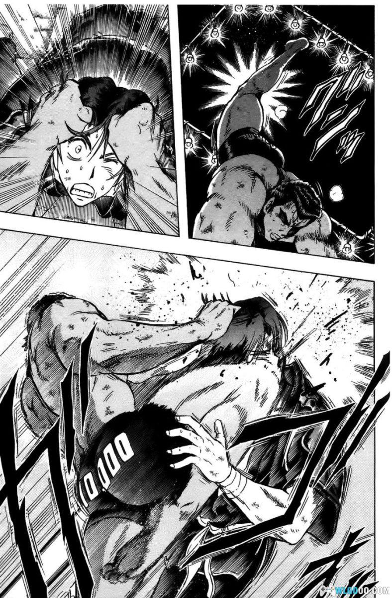 漫画 火爆格斗王[全21卷]｜庭野真琴人-图片2