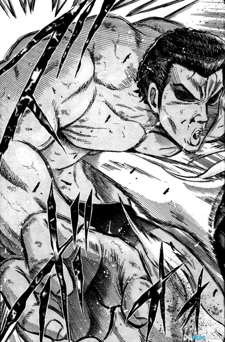 漫画 火爆格斗王[全21卷]｜庭野真琴人-图片6