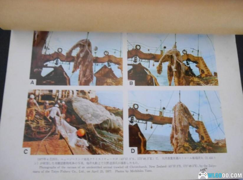 有朋至远方来,展示我如数家珍的连环画收藏-图片20