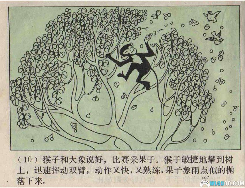 连环画 森林之王[1979年]－狮子大象谁的本领大？-图片11