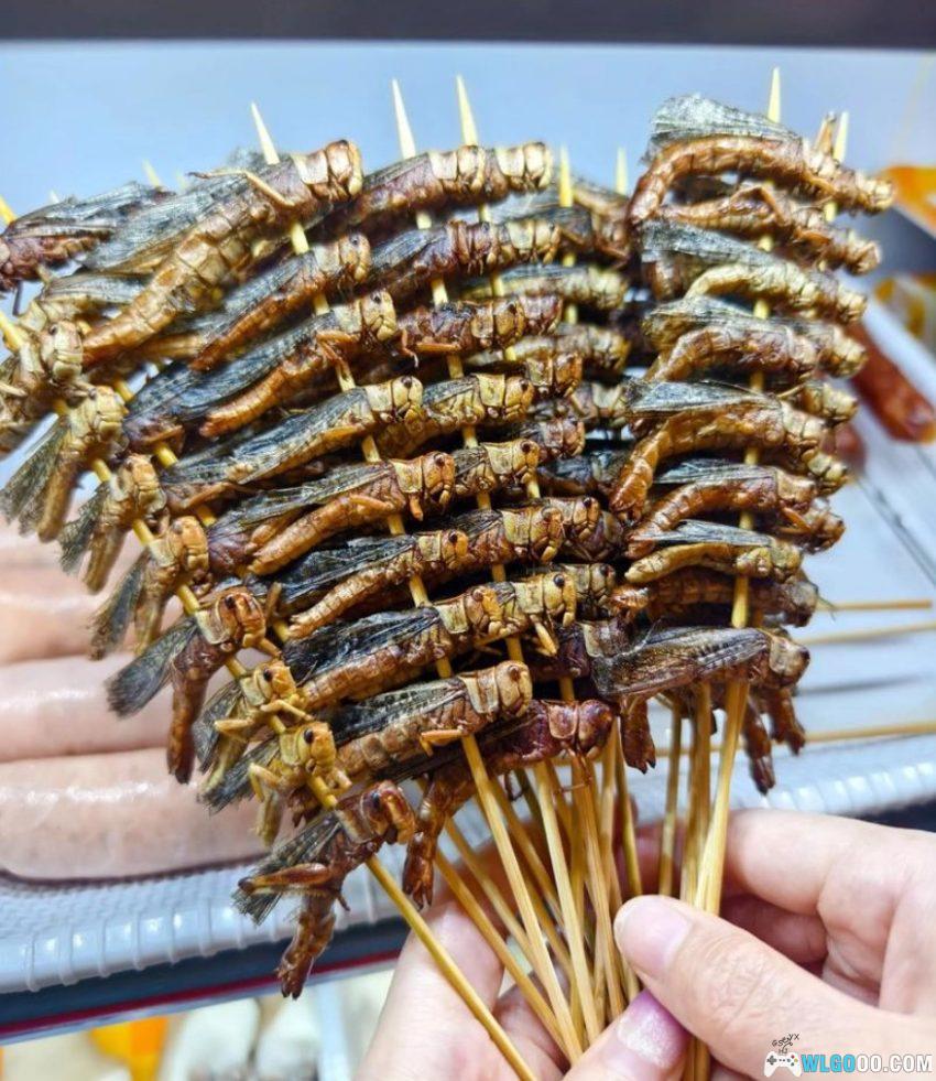 从捕虫到口袋妖怪，我的夏日回忆-图片3