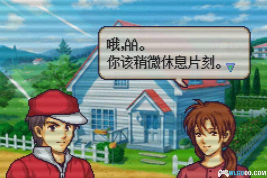 GBA宝可梦纹章[1.0汉化] - 附攻略 | 2026.7.13发布-图片11