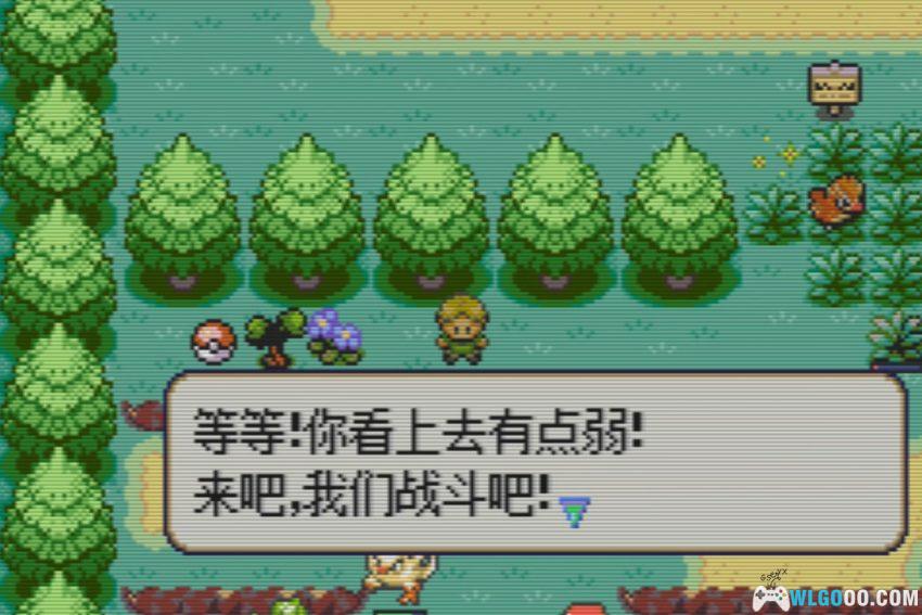 GBA宝可梦纹章[1.0汉化] - 附攻略 | 2026.7.13发布-图片13