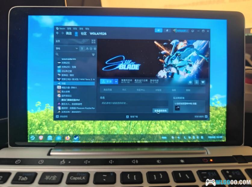 老便携电脑的新生,用精简Linux做蒸汽平台启动器 -图片8