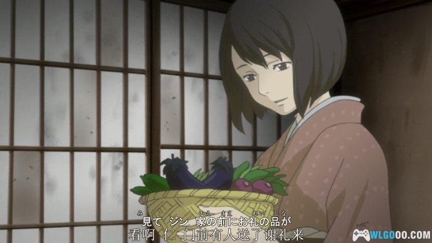 虫师(2005)[26集] 动画赏析 - 给予成年人的治愈之作-图片17