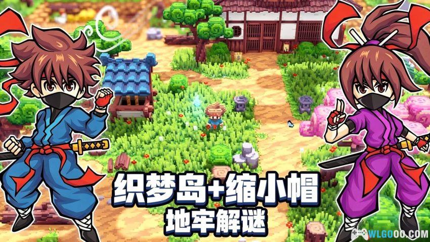 武士刀之龙[ARPG] 测评 - 用拼豆做的塞尔达-图片1