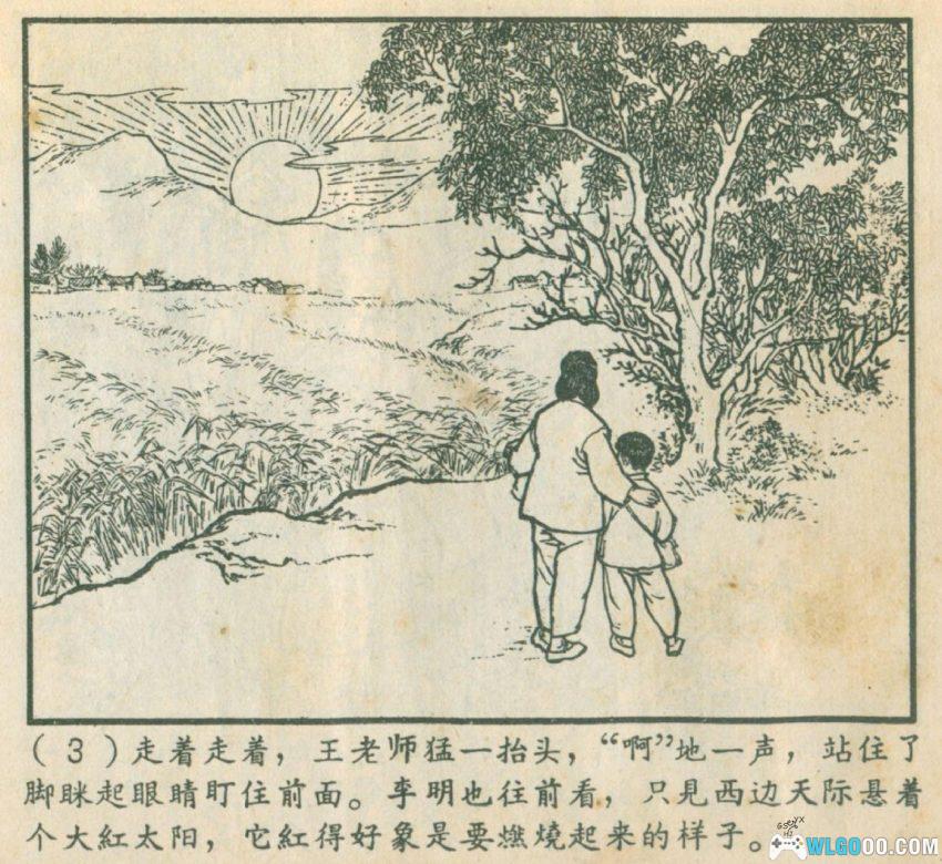 葡萄[1963年] - 60年前的农村故事-图片4