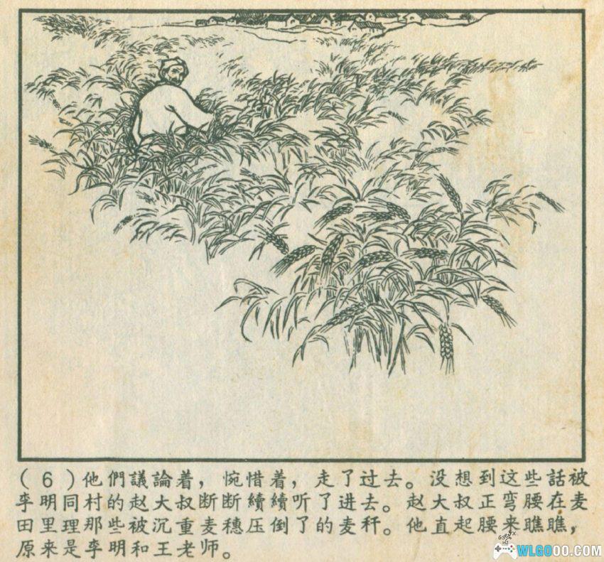 葡萄[1963年] - 60年前的农村故事-图片7